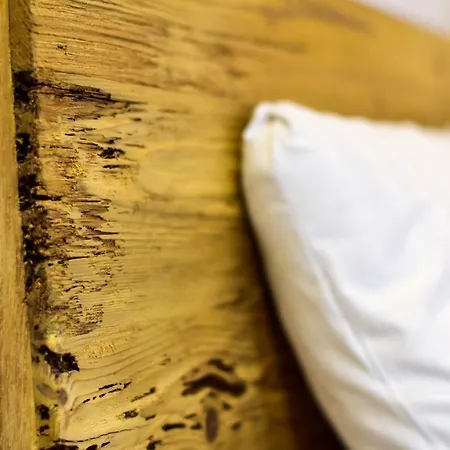 The Iguana-wooden Apartment *